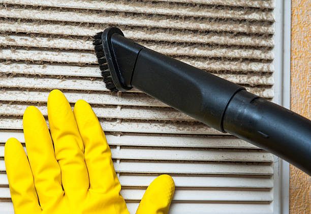 Best Affordable Duct Cleaning Services  in Millvale, PA